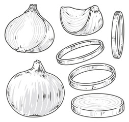 Chopped onion monochrome logotypes set