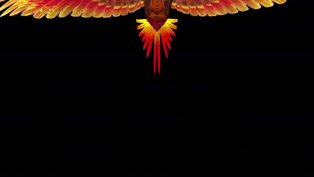 Phoenix Bird - Hot Red - Flying Over Screen I - Alpha Channel - Isolated 3D Animation

