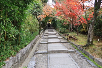 Autumn in Kyoto : a scene of  Daidokorozaka Access to the precincts of Kodai-ji Temple 京都の秋：高台寺境内へ至る参道台所坂の風景　