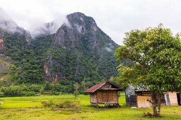 The natural is still pure and beautiful in Laos.