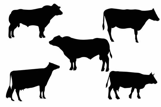 cow and bull silhouettes