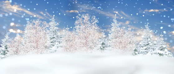 beautiful winter landscape blue sky trees covered by snow,snowflakes fall Christmas wonderland