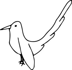 Bird icon, thin line style, flat design, hand drawn, hand drawn illustration