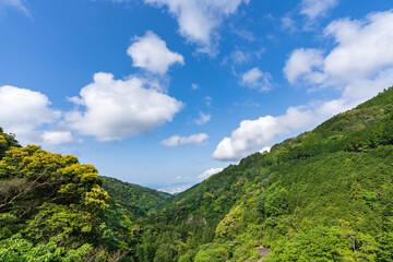 遠くに見える町