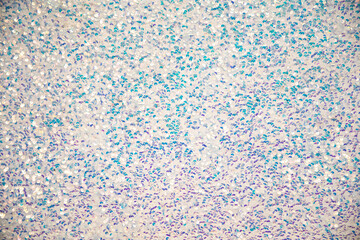 Sequins on Fabric, blue Beads, Sequins or Beads, Fashion Fabric. Holographic bright light blue glitter real texture background.
