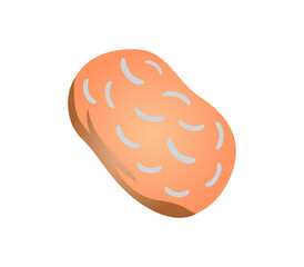 sausage on a white background