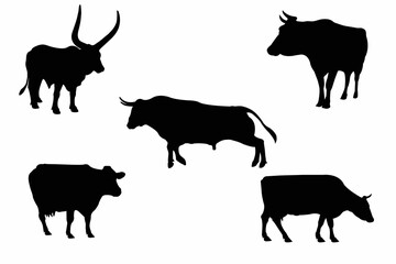 Cow and bull graphic icon. Cow and bull black silhouette isolated on white background. Vector illustration