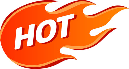 Obraz premium Hot sale price labels template designs with flame.