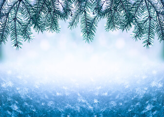 Winter Christmas background with snowy fir tree branches and frozen snow snowflakes heap. Winter Holidays card design