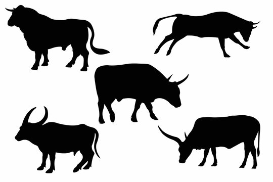 bull silhouettes bull vector bull black