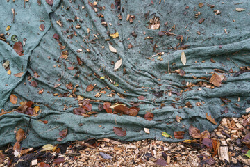 Entdeckungen in der Natur, Holzschnitzel unter Plane