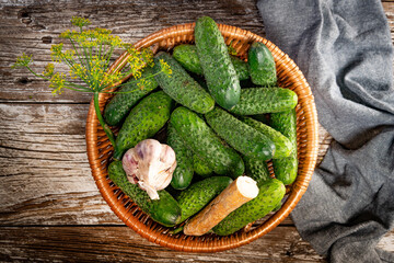 Fresh cucumbers from your home garden.