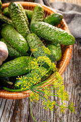 Fresh cucumbers from your home garden.