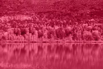 Trendy Color of the year 2023: Viva Magenta toned reflections of the Manjerokskoe lake