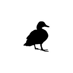 Duck icon. Simple style zoological garden ticket big sale poster background symbol. Duck brand logo design element. Duck t-shirt printing. vector for sticker.