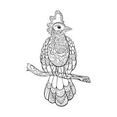 Tropical paradise bird coloring page outline.  Zentangle line art illustration with ornamental details. 