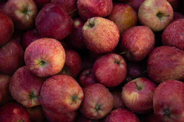 fresh apple in market closeup background