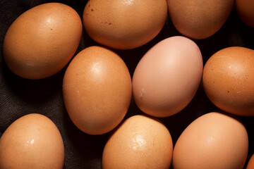 Overhead view of a group of eggs.