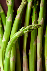 Bunch of wild asparagus