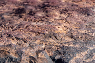 Colorful surface of mineralized stone. Ramon crater. Desert of the Negev. Selective focus
