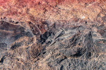 Colorful surface of mineralized stone. Ramon crater. Desert of the Negev. Selective focus