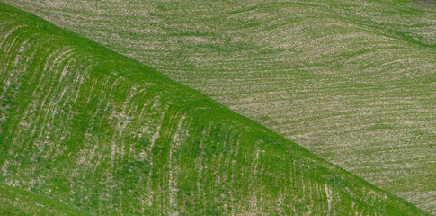 Geometric view of cultivated fields