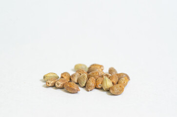 hemp seeds on a white background