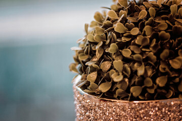 Donica dekoracyjna © Monika