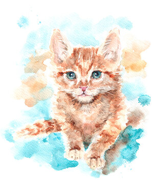 Сute ginger kitten looking at the camera on a gentle turquoise background. Realistic watercolor illustration with paper texture. Furry pet. Soft watercolor drawing.