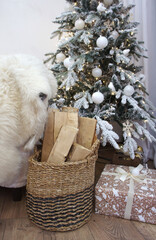 Firewood in a basket and a Christmas present on the floor in the interior. A Christmas tree and a sofa with white fur in the background. Festive New Year atmosphere. 