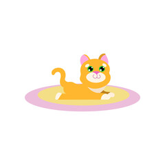 Cat cartoon character lying on carpet vector illustration. Cute kitten growing from little to adult and elderly, small stage of growth isolated on white background. Pets, time concept