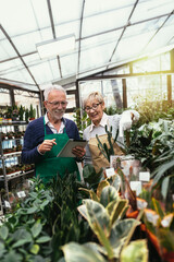 Elderly couple in own flower shop. Concept of small business.