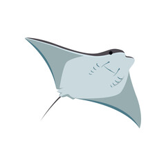 Comic grey stingray bottom view flat vector illustration. Cute fish cartoon character with eyes, manta ray, adorable sea creature isolated on white background. Animals, wildlife, nature concept - obrazy, fototapety, plakaty