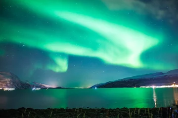 Zelfklevend Fotobehang sea and sky in norway with northern lights © paolagio_photo