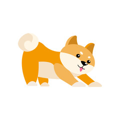 Dog cartoon character stretching vector illustration. Cute puppy growing from little to adult and elderly, small stage of growth isolated on white background. Pets, time concept