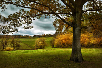 Herbst in der Eifel