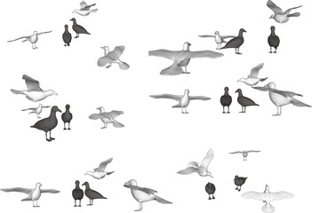 Fototapeta na wymiar set of silhouettes of birds
