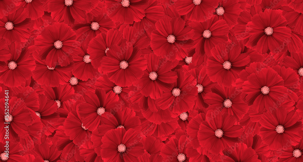 Wall mural red cosmos flower pattern background. art or abstract of flora, floral and beautiful natural wallpap