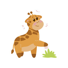 Adorable scared giraffe cartoon character vector illustration. Watercolor drawing with cute baby animal standing on white background. Wildlife concept for birthday card design