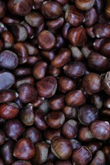 background of brown edible chestnuts on the market
