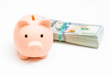 US dollars bundle and piggy bank on white background