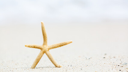 Fototapeta na wymiar Starfish pon the tropical beach with copy space, Beautiful sea star on sandy beach, Summer travel concept.
