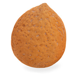 Almond isolated on white background. Almond nut in a shell close up