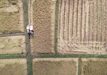 Top view of harvesting rice car working in rice filed for harvest in season. Asian agriculture content for using.