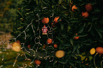 New Year's authentic toy hanging on a tree in an orange garden, around the New Year's lights of garlands - 552101475