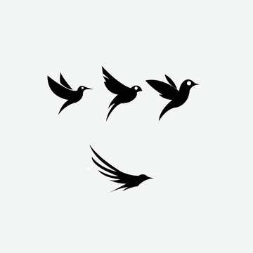 Elegance vector seamless pattern with  brids