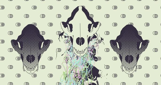 Fashion loop animation. Animal skull illustration. Psychedelic surreal art