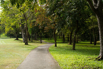 The cement road to the golf course is surrounded by trees, used for walking and providing golf carts.