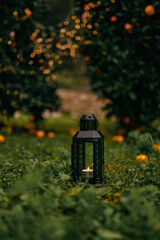 a glass lamp with candles against the backdrop of an orange orchard and Christmas lights - 552104651