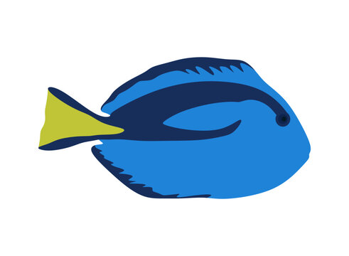 Cute sea fish. Funny blue tang fish. blue tang fish in flat style isolated on white background. Blue tang or Regal tang illustration. vector eps10